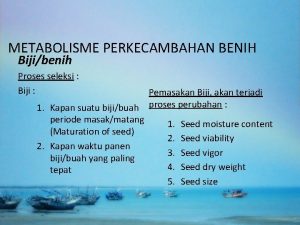 METABOLISME PERKECAMBAHAN BENIH Bijibenih Proses seleksi Biji Pemasakan