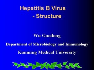 Hepatitis B Virus Structure Wu Guodong Department of