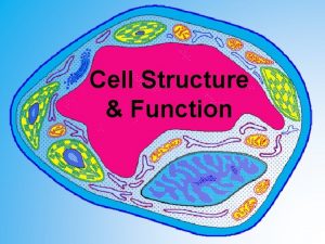 It moves materials around to other parts of the cell It moves materials around to other parts of the cell