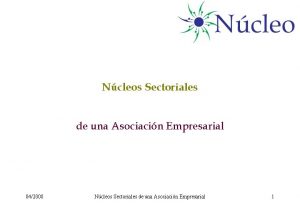 Ncleos Sectoriales de una Asociacin Empresarial 042008 Ncleos
