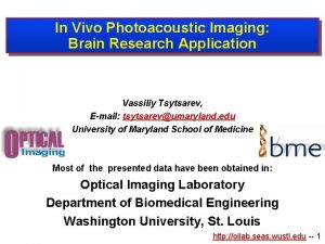 In Vivo Photoacoustic Imaging Brain Research Application Vassiliy