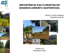 IMPORT NCIA DAS FLORESTAS NO DESENVOLVIMENTO SUSTENTVEL Josio