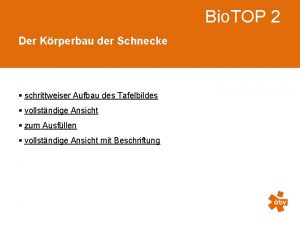 Bio TOP 2 Der Krperbau der Schnecke schrittweiser