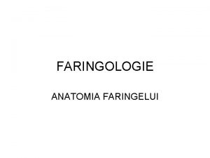 FARINGOLOGIE ANATOMIA FARINGELUI Anatomie Anatomie Rinofaringe nazofaringe Orofaringe