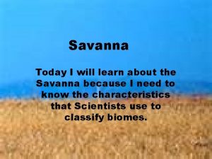 Savanna Today I will learn about the Savanna