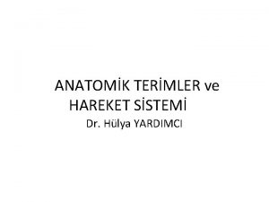 ANATOMK TERMLER ve HAREKET SSTEM Dr Hlya YARDIMCI