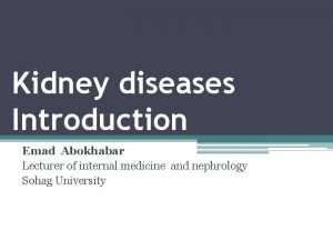 Kidney diagram