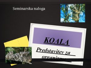Seminarska naloga KOALA Predstavitev za organizme ZGRADBA TELESA
