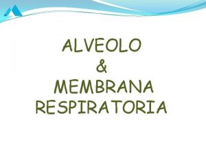 La membrana respiratoria