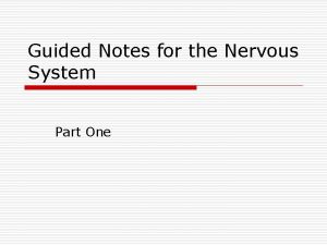 Nervous system guided notes