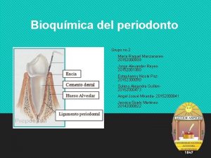 Bioqumica del periodonto Grupo no 2 v Mara