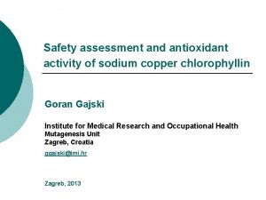 Safety assessment and antioxidant activity of sodium copper
