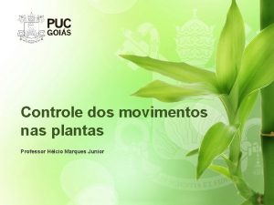 Controle dos movimentos nas plantas Professor Hlcio Marques