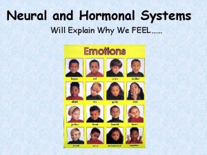 Neural and Hormonal Systems Will Explain Why We