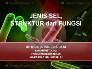 Fungsi nuclear envelope