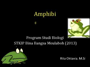 Amphibi Program Studi Biologi STKIP Bina Bangsa Meulaboh