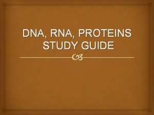 Dna rna and proteins study guide answers Dna rna and proteins study guide answers
