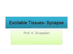 Excitable Tissues Synapse Prof K Sivapalan Synapses Two