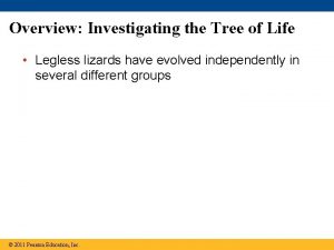 Overview Investigating the Tree of Life Legless lizards