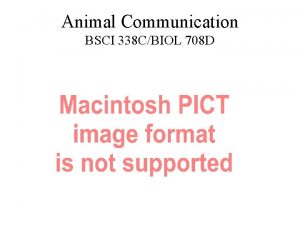 Animal Communication BSCI 338 CBIOL 708 D Class