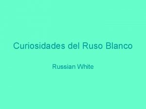 Curiosidades del Ruso Blanco Russian White Esta bebida
