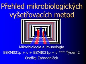 Pehled mikrobiologickch vyetovacch metod Mikrobiologie a imunologie BSKM