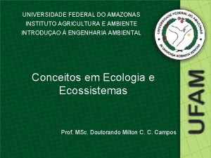 UNIVERSIDADE FEDERAL DO AMAZONAS INSTITUTO AGRICULTURA E AMBIENTE