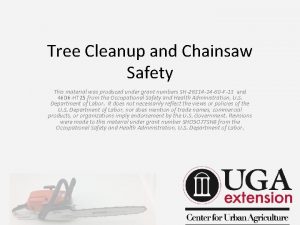 Tree Cleanup and Chainsaw Safety This material was