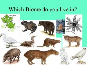 In which biome do you live