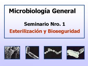 Niveles de bioseguridad