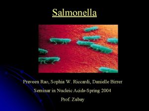 Salmonella treatment