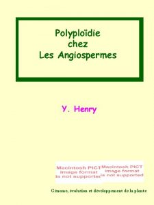 Polyplodie chez Les Angiospermes Y Henry Gnome volution