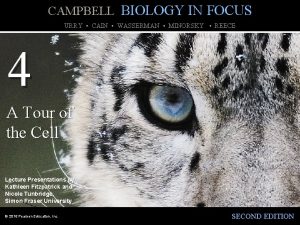 CAMPBELL BIOLOGY IN FOCUS URRY CAIN WASSERMAN MINORSKY
