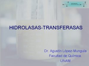 HIDROLASASTRANSFERASAS Dr Agustn LpezMungua Facultad de Qumica UNAM