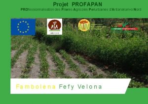 Projet PROFAPAN PROfessionnalisation des Filires Agricoles Priurbaines dAntananarivo