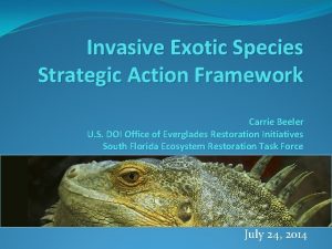 Invasive Exotic Species Strategic Action Framework Carrie Beeler