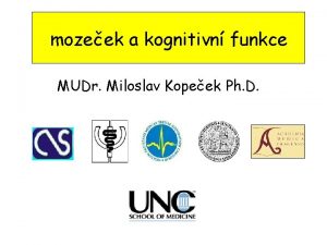 mozeek a kognitivn funkce MUDr Miloslav Kopeek Ph