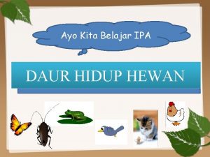 Daur hidup katak