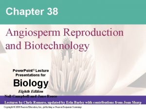 Chapter 38 Angiosperm Reproduction and Biotechnology Power Point