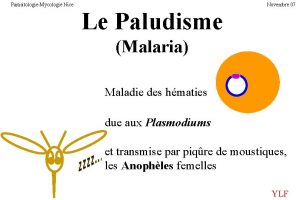 ParasitologieMycologie Nice Novembre 07 Le Paludisme Malaria Maladie