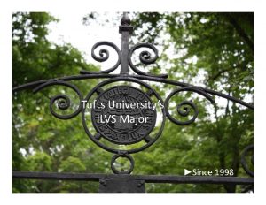 Tufts ilvs Tufts ilvs