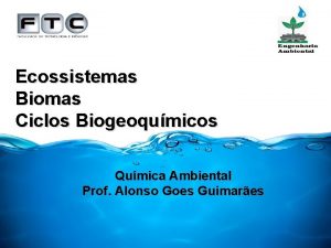 Ecossistemas Biomas Ciclos Biogeoqumicos Qumica Ambiental Prof Alonso
