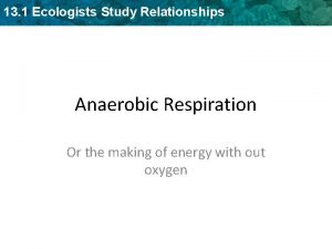 Anaerobic 13 1 Ecologists Respiration Study Relationships Fermentation