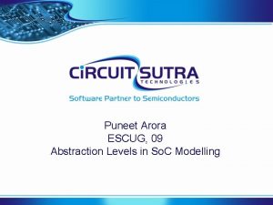 Puneet Arora ESCUG 09 Abstraction Levels in So