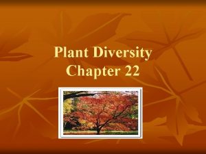 Plant diversity chapter
