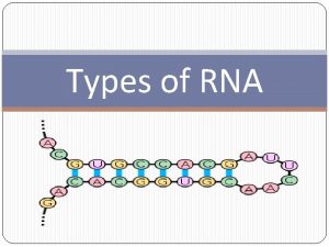 Types of RNA Outline RNA Review Main types