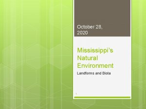 October 28 2020 Mississippis Natural Environment Landforms and