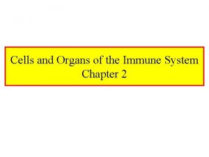 Cells and Organs of the Immune System Chapter