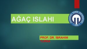 AA ISLAHI PROF DR BRAHIM TURNA v Bu