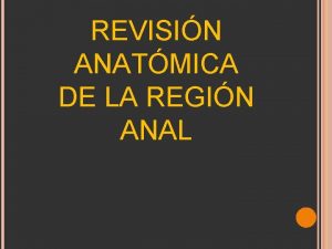 REVISIN ANATMICA DE LA REGIN ANAL Fuente Modificado